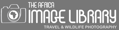 The africa image library_website1
